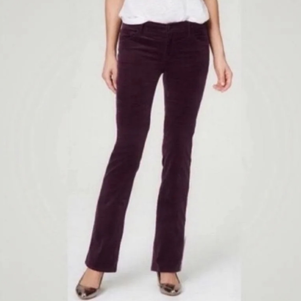 Loft Modern Boot Cut Burgundy Velvet Velour Pant Jeans
